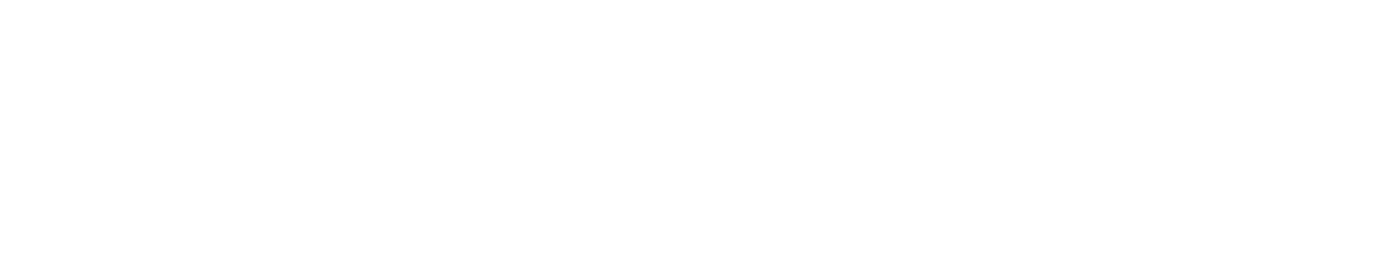 MERIZE FOSTER CARE